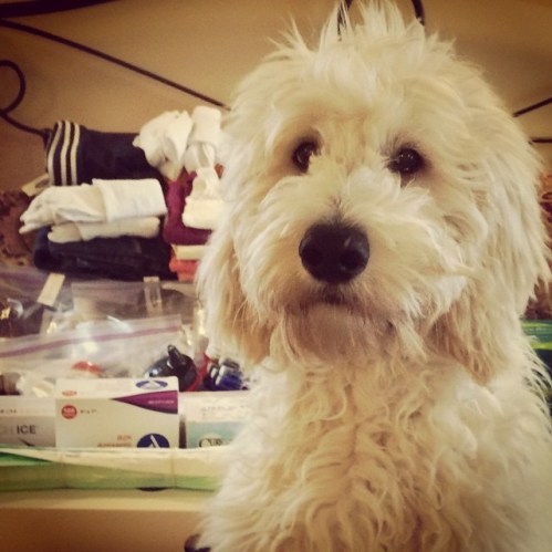 Murray helping with the packing