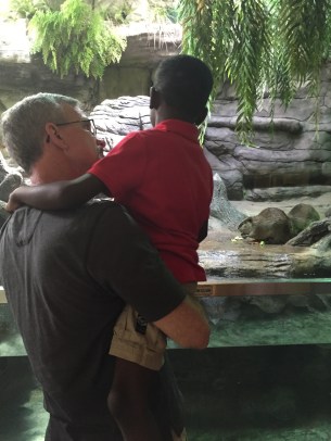 Watching the beavers eat