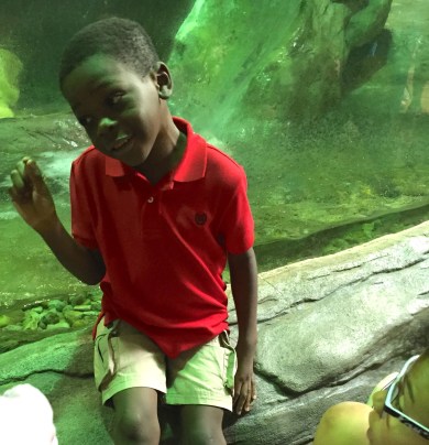 Waiting for the feeding of the otters and telling the little girl next to him, 