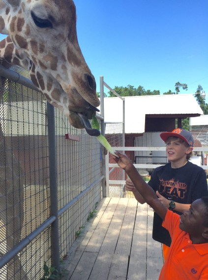 Nolan Sixth Day 7-31-15 #7