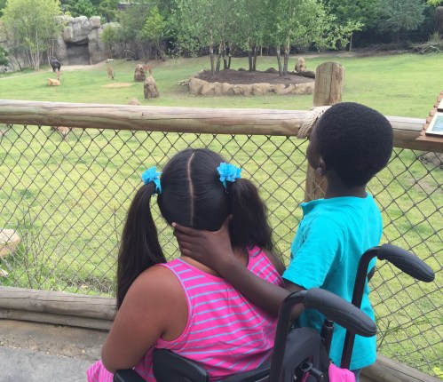 Nolan trying to help Kathryn see an ostrich in the distance
