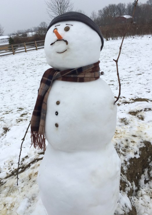 Snow Day 2-15-16 #14