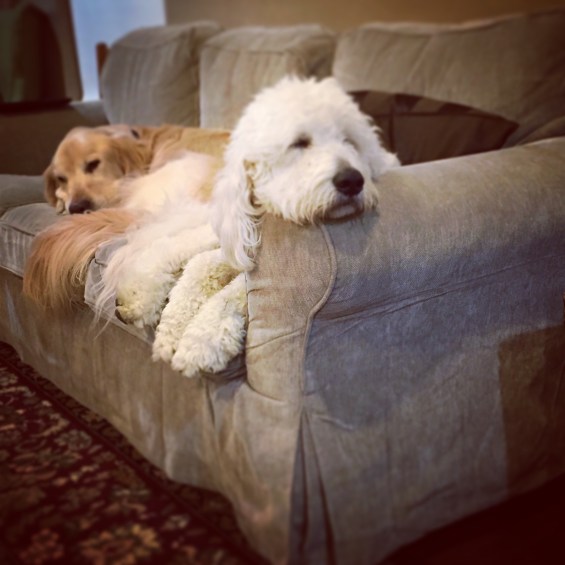 BlogEngravingsofGodsHand8