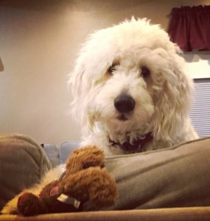 Murray and His Bear