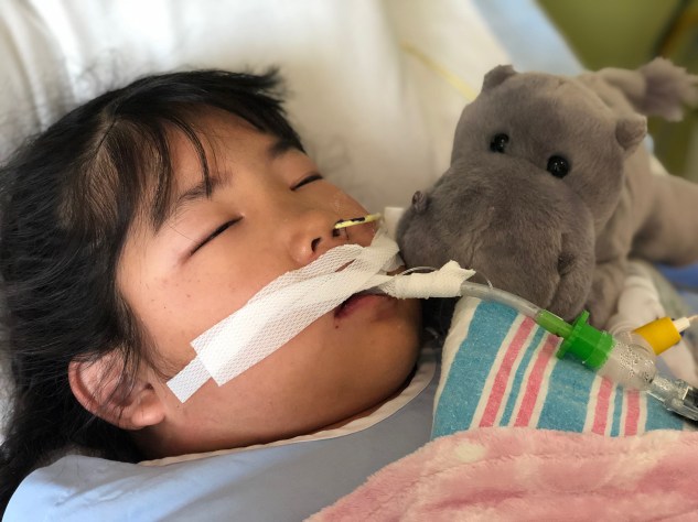 Lilyan - Friday - New Baby Hippo