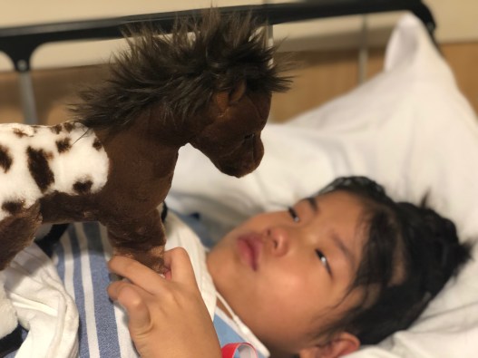 Third Surgery Blog Update 4-11-19 #3